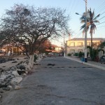 Canyonからの帰宅道